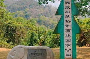 西双版纳中科植物园夜游攻略_萤火虫观赏指南，西双版纳中科院植物园一天能逛完吗？