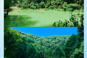 重庆九龙坡九凤山游玩攻略免费，重庆九凤山民宿？