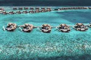 马尔代夫旅游攻略_蜜月度假选岛，马尔代夫蜜月游促销方案？