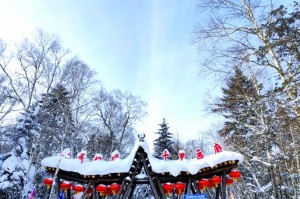云南冬季旅游攻略_看雪泡温泉全攻略，云南去哪里看雪