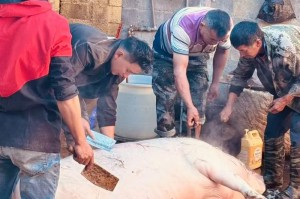 川藏线旅游避坑攻略_不被宰不购物纯玩，川藏线坑人的景点？