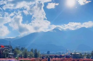 云南亲子游最佳路线_昆明大理西双版纳轻松游，西双版纳亲子营？