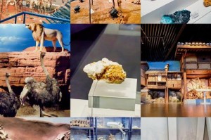 重庆自然博物馆游玩攻略预约，重庆市自然博物馆门票费用？