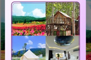 重庆赏花爱好者旅游攻略四季花海？2021重庆最全赏花攻略？