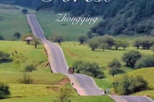 重庆草原旅游攻略仙女山草原，重庆仙女山大草原介绍