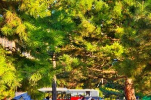 国内露营旅游攻略免费露营地，国内露营前十圣地？