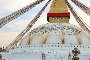 沙漠旅游机票住宿安全住宿推荐，沙漠旅游线路？