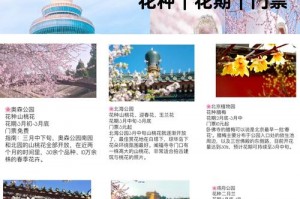关于春季旅游机票住宿赏花路线搭配的信息