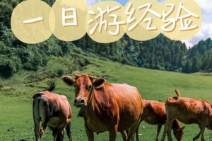 重庆仙女山露营攻略装备住宿？重庆仙女山避暑？