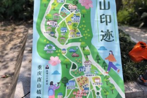 重庆南岸南山植物园游玩攻略门票，重庆南山植物园网红打卡