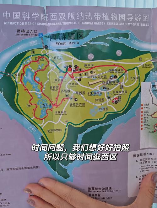西双版纳中科院植物园怎么玩