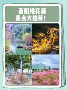 酉阳桃花源怎么玩儿_彭水黔江酉阳自驾游攻略