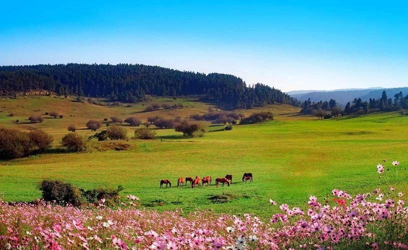 仙女山景区游玩攻略