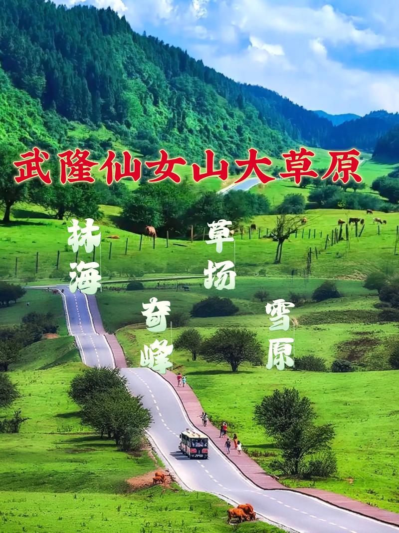 仙女山大草原夏季旅行攻略