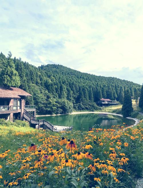 重庆森林旅游景点有哪些康养好去处