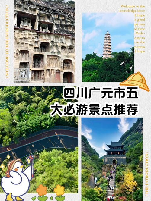 春节云南高速免费时间