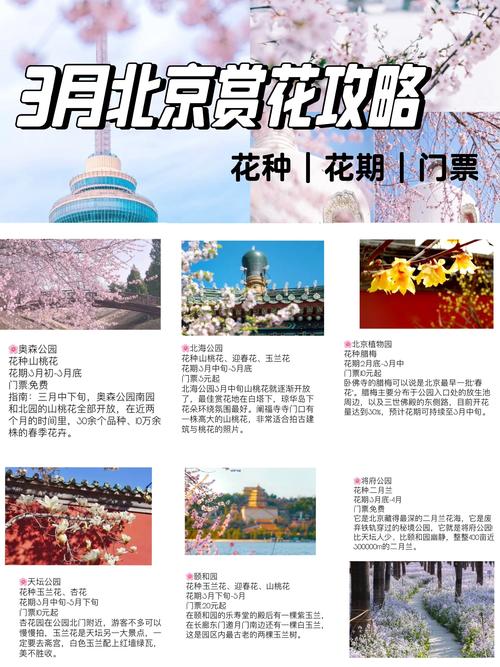 春季去中国国花园旅行,有哪些详细的攻略值得分享?