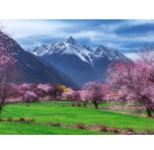 五月去五台山赏春景的旅行攻略是什么?