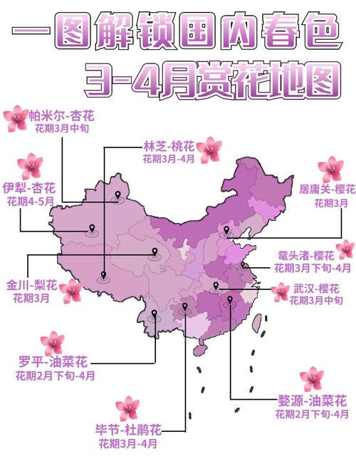 国内3—4月||春季赏花攻略