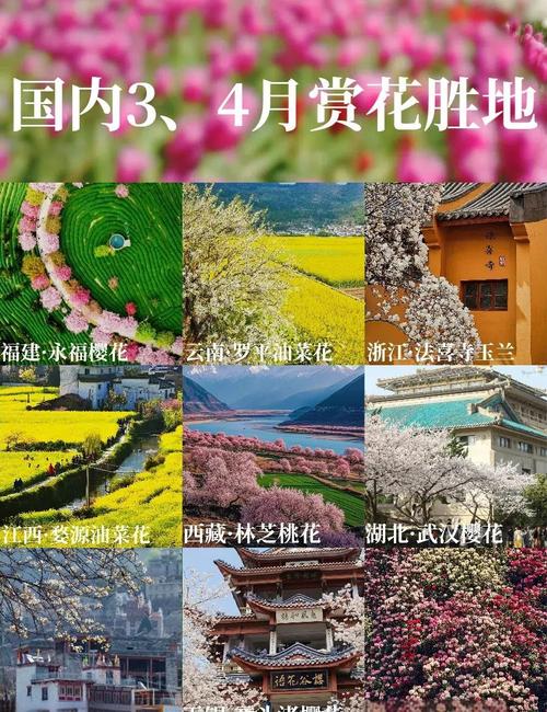 河南旅游景点春季