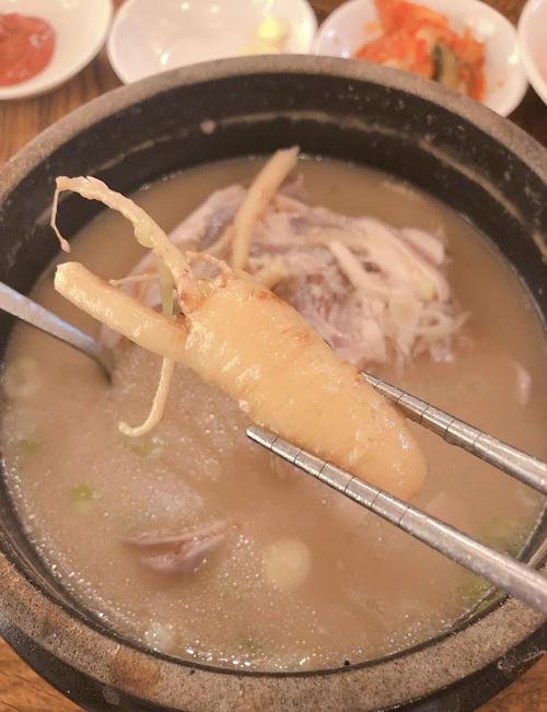 韩国的参鸡汤店哪家比较好