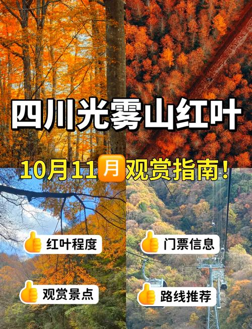 看红叶最佳的地点介绍