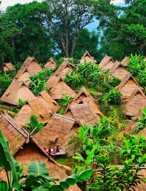 云南诺邓古村的千年产业支柱是