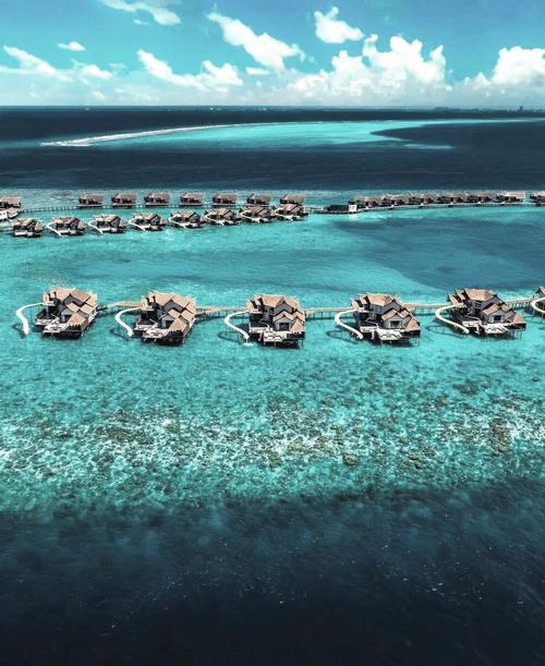 去马尔代夫旅游哪个岛好