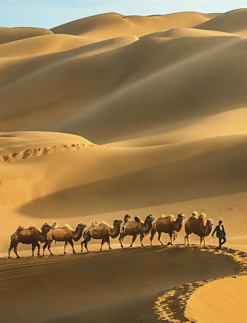 银川必去的三个沙漠