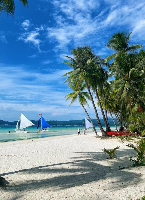 东极岛旅游攻略