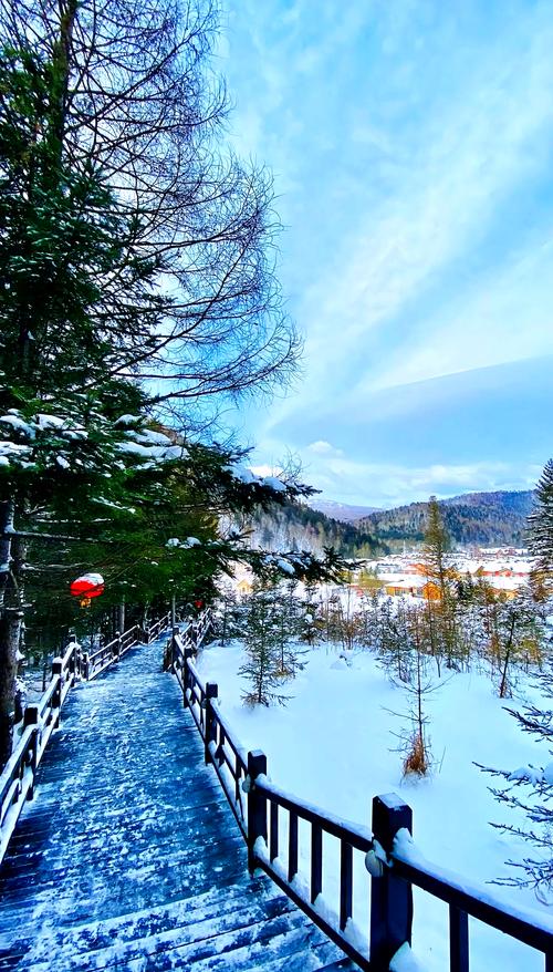 冬天往哪儿走暖和