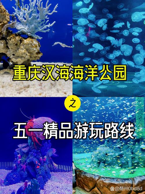 重庆汉海海洋公园一日游玩攻略