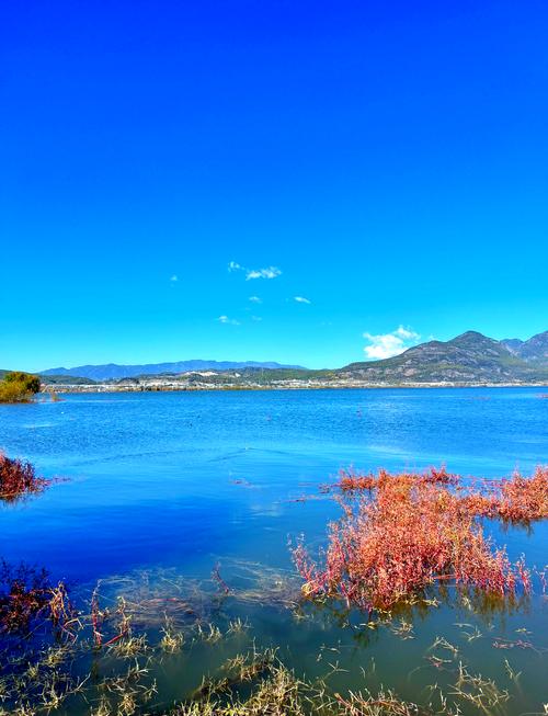 拉市海三个必去景点