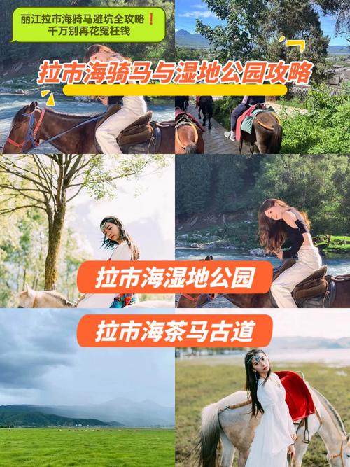 云南拉市海骑马划船多少钱?教你如何避开陷阱