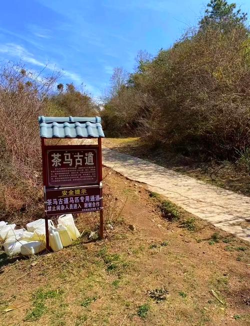 云南拉市海旅游攻略,拉市海游玩攻略