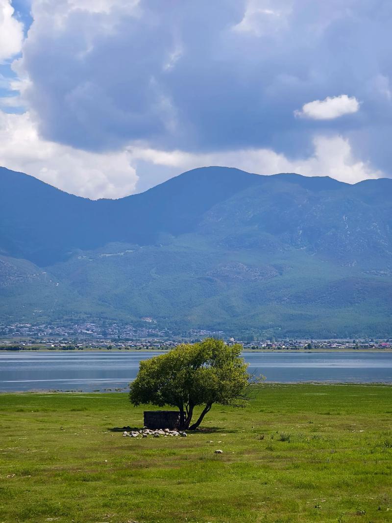 拉市海茶马古道旅游攻略