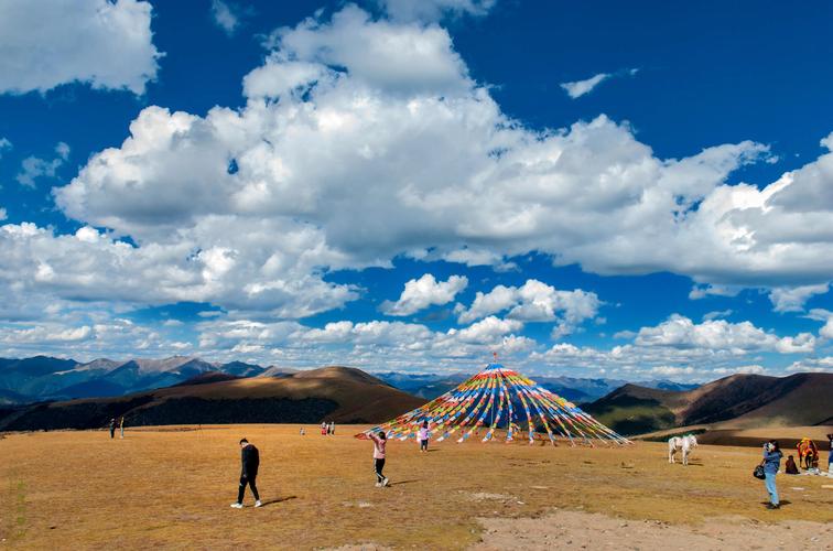 有什么去卡子拉山赏景的攻略?