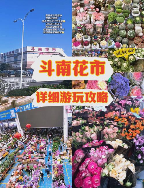 ...进来带你了解一下全国最大的鲜花批发市场-斗南!