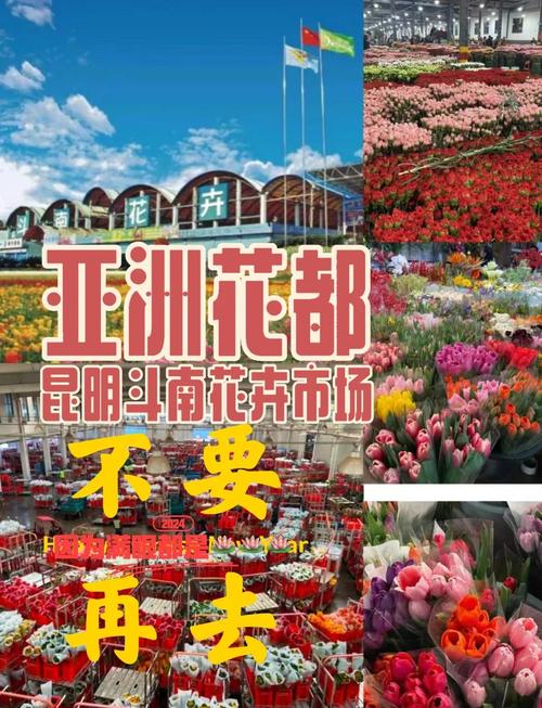 旅游昆明花市攻略(昆明花市买花攻略)