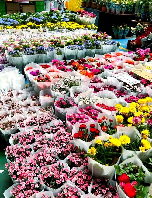 昆明斗南花市买花攻略