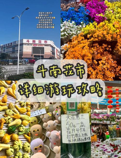 昆明斗南买花攻略