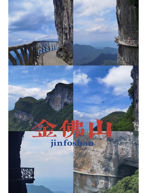 重庆南川金佛山游玩攻略