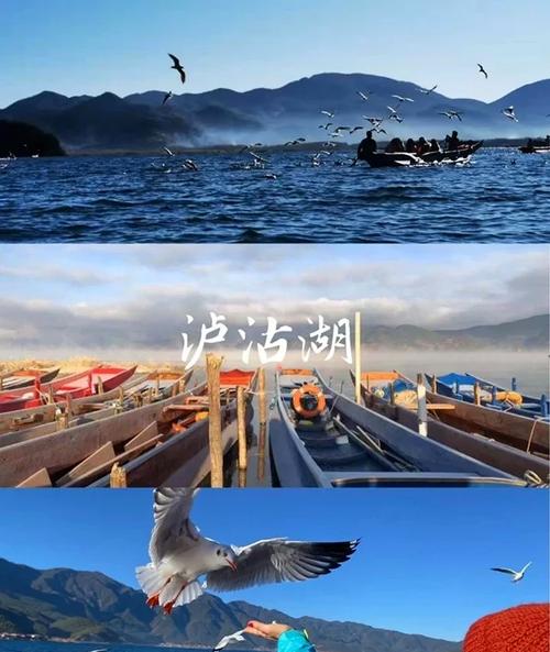 云南的洱海和泸沽湖各有什么特色?怎么规划一次云南的湖光山色之旅?_百...