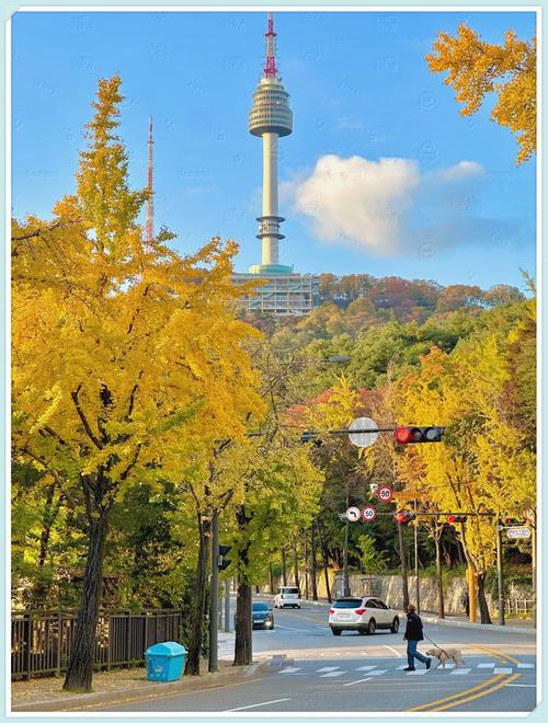 泰黎院是什么,韩国南山旅游攻略