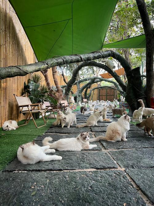 最新青藏、川藏自驾进藏所需材料、路况,及湖北籍进藏规定!