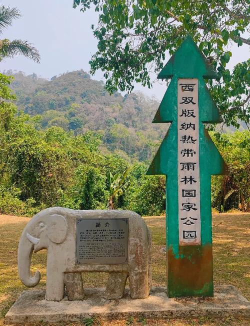 云南中科植物园与傣族园哪个好玩