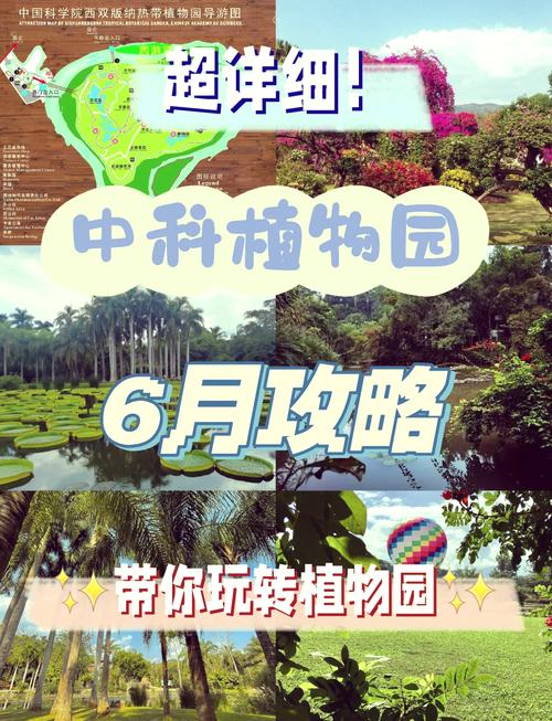 普洱市到西双版纳国道景点路线