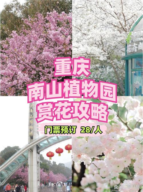 重庆南山植物园春季赏花游玩攻略