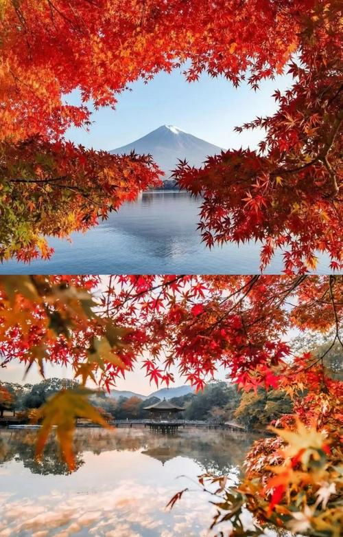 川西看彩林红叶旅游攻略