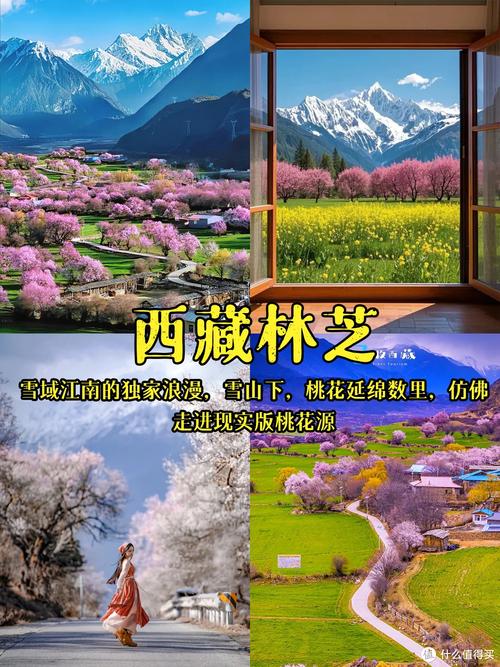 deepseek春日赏花攻略来了